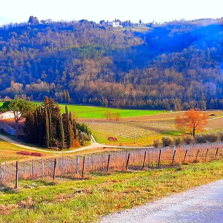Apartment Salivolpe, Amazing Chianti View - Happy *